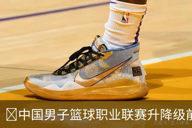 ‌中国男子篮球职业联赛升降级前夜：多名CBA球员流入NBL