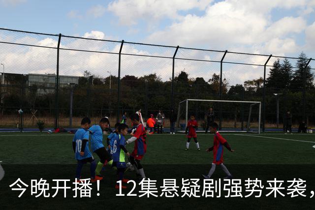 今晚开播！12集悬疑剧强势来袭，看完预告片我想说：这剧有爆款相