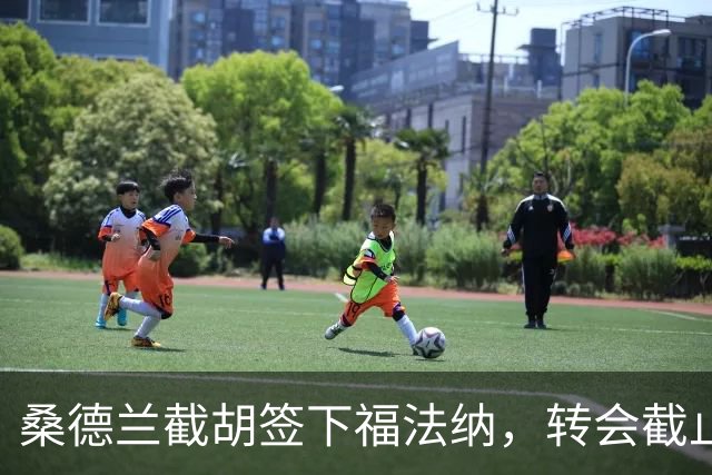 桑德兰截胡签下福法纳，转会截止日上演两架私人飞机等待抉择的戏剧性一幕