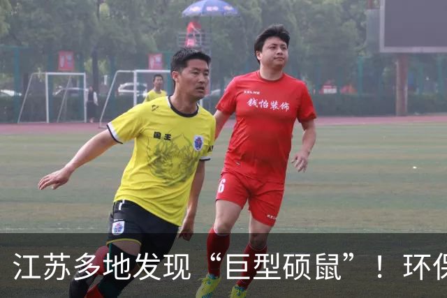 江苏多地发现“巨型硕鼠”！环保部门提醒：别抓、别喂、别放生