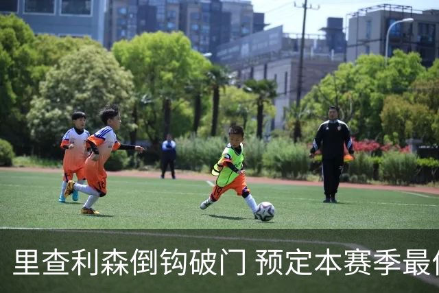 里查利森倒钩破门 预定本赛季最佳进球之一