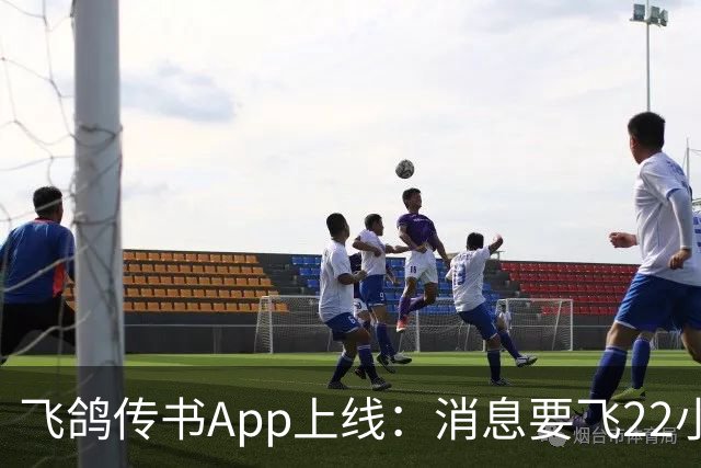 飞鸽传书App上线：消息要飞22小时，还有0.2%概率半路消失