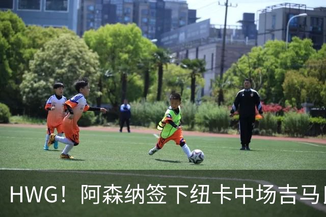 HWG！阿森纳签下纽卡中场吉马良斯 转会费达7500万镑