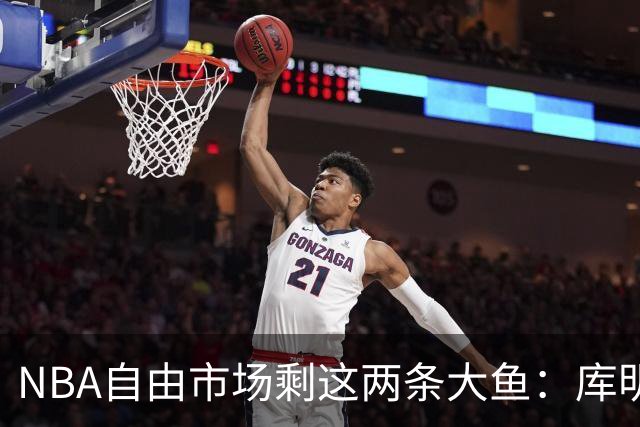NBA自由市场剩这两条大鱼：库明加或底薪投湖人，掘金锋线被骑士盯上